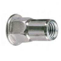 Купить заклепка м10x22 полушестигранная с внутренней резьбой и цилиндрическим бортом, оц. сталь оптом | ПРОТОРГ