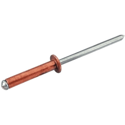 Рекомендуем купить Заклепка вытяжная открытая 4.8x12 со стандартным бортом, медь / оц. сталь