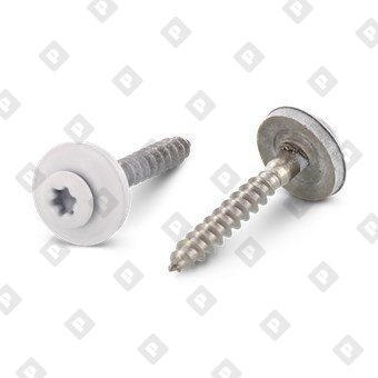 Art. 9087 A2 4,5X45 TX20 - RAL 9010 - №1